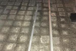 Albero, Boma e vele nuove