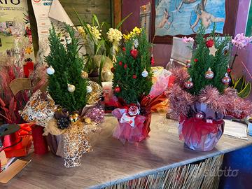 Abeti natalizi di varie tipologie di incarto