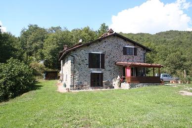 Cascina immersa nel bosco