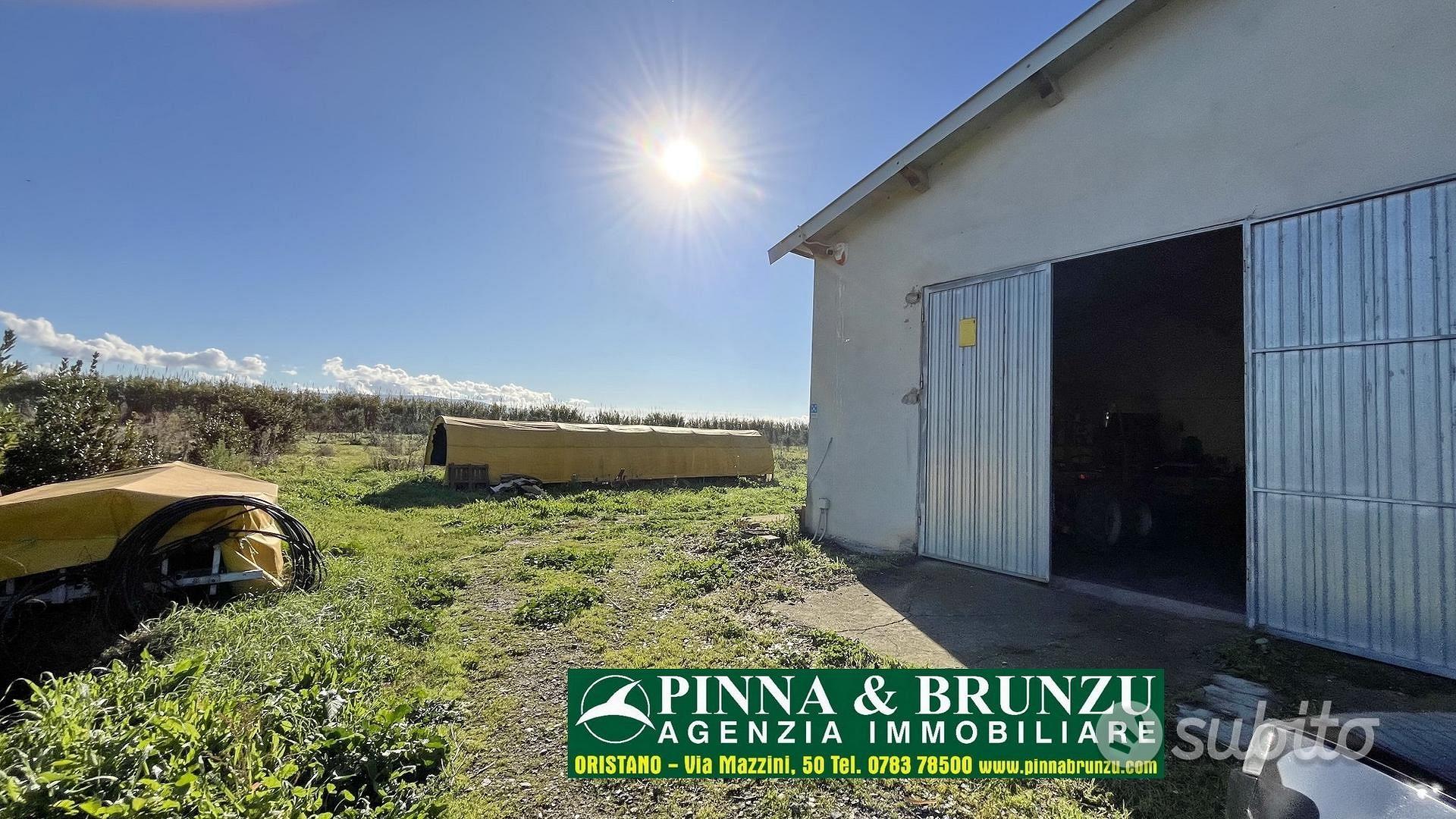 Oristano - azienda agricola - Altro