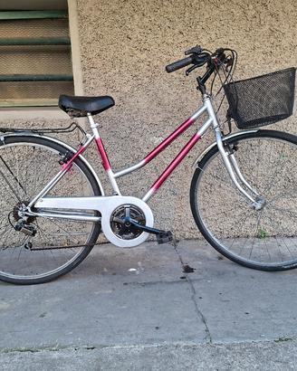 donna 28 con marce e cestino pronta all'uso 