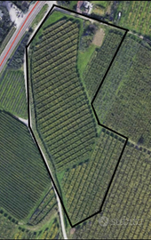 Terreno Agricolo nel Comune di Dro (TN)