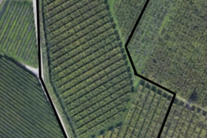 Terreno Agricolo nel Comune di Dro (TN)