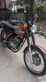 Harley Davidson amf sst  250