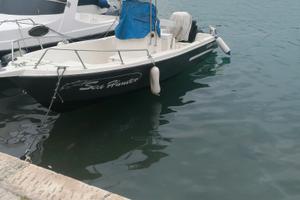 Albatros 19