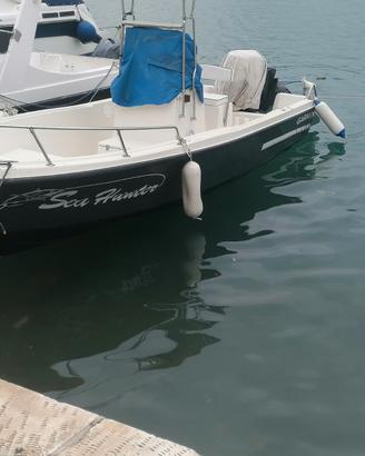 Albatros 19
