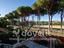 Immagine 28