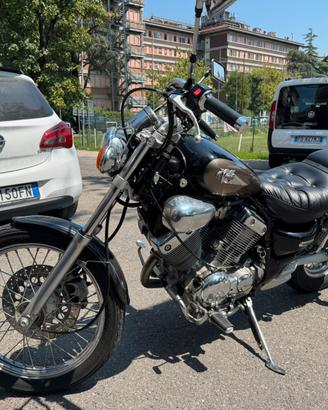 YAMAHA MOTOR CO LTD U.101 variante virago 535