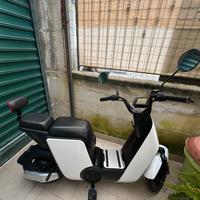 Bicicletta elettrica