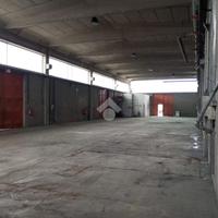 CAPANNONE A FIDENZA