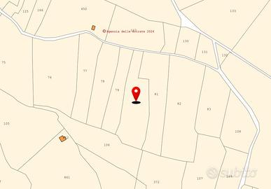 Terreni agricoli Loc.Ruinas - a partire da 28,000
