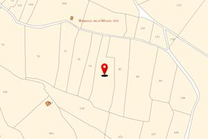 Terreni agricoli Loc.Ruinas - a partire da 28,000