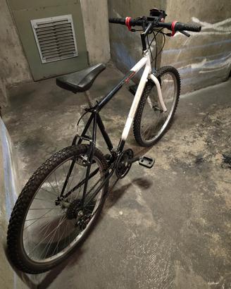 MTB Bici città unisex 