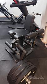 Leg Extension /Curl KINGSGYM