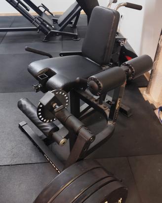 Leg Extension /Curl KINGSGYM