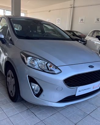 Ford Fiesta 1.0 Ecoboost 100 CV aut. 5 porte Vigna