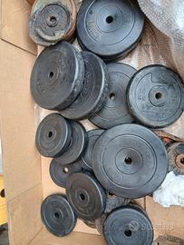 Dischi pesi bodybuilding