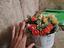 Immagine 4