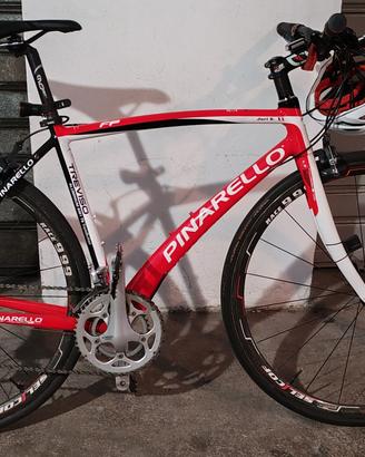 bdc pinarello Treviso 