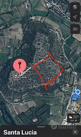 Terreno vicino alla chiesa di Santa Lucia Orosei