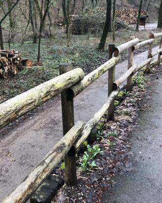 Recinzioni con pali in castagno scortecciato