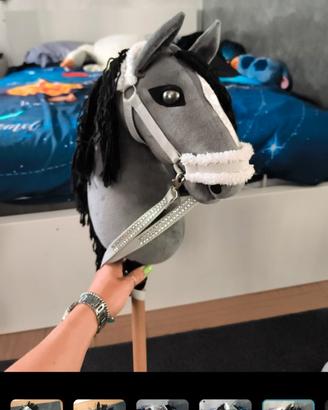 Hobby horse