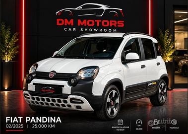 Fiat Panda 1.0 FireFly S&S Hybrid Pandina