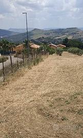 Rif.3650TE60784| area edificabile caltanissetta