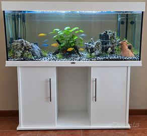 acquario 