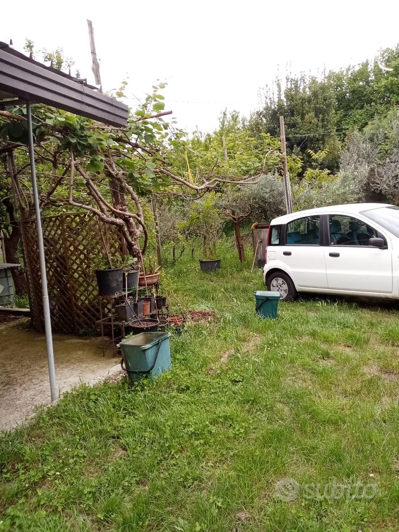 Terreno con casetta cat. A3 e pozzo - Vista 5