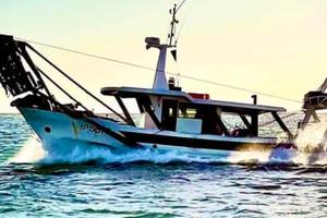 Barca professionale pesca vongole