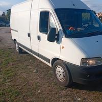 Trasporti, Giardinaggio, Sgomberi