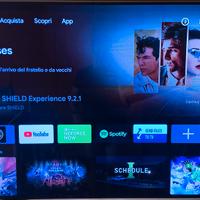 Nvidia Shield TV Pro con Hard Disk 500gb