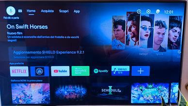 Nvidia Shield TV Pro con Hard Disk 500gb
