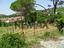 Immagine 25