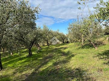 TER. AGRICOLO A SANT'AGATA DE' GOTI