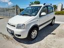 fiat-panda-4x4-1-3-mtj-75-cv-climbing-2012