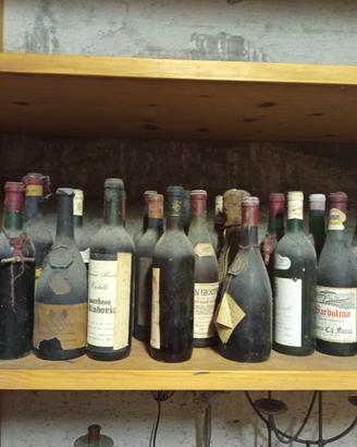 bottiglie di vino da collezione