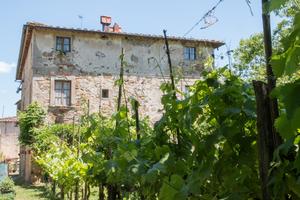 Coloniche e terreni