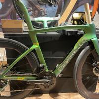 PINARELLO DOGMA 1K LUXTER GREEN TG 53 NUMBER 24