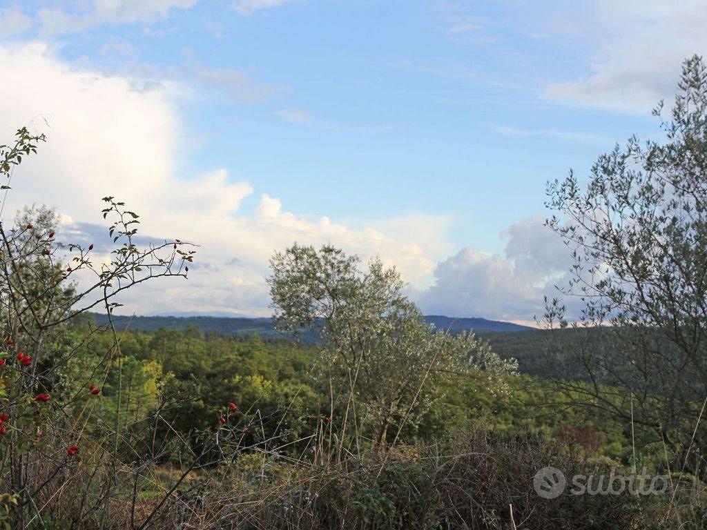 Rustico / Casale di 460 m² con 5 locali e box auto - Vista 5