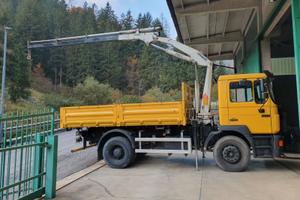 Camion con ribaltabile e gru