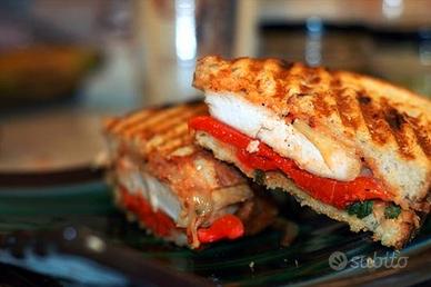 PUB PANINOTECA in zona universitaria