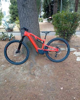 e-bike 
