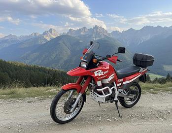 Suzuki dr 800 s big