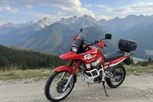 Suzuki dr 800 s big