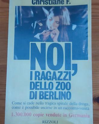NOI, I RAGAZZI DELLO ZOO DI BERLINO