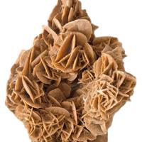 Rosa del deserto