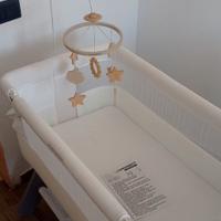 Next to me Foppapedretti