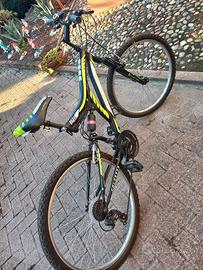 bicicletta mountan bike